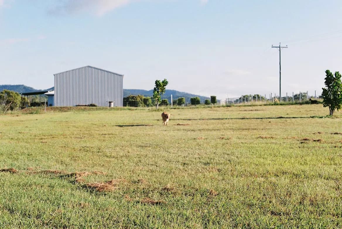 Agricultural property
